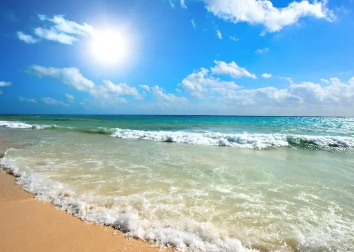 Admiral Plaza C52 Sunny 아파트 *