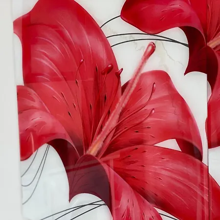 Admiral Plaza C52 Sunny Appartement Slantchev Briag